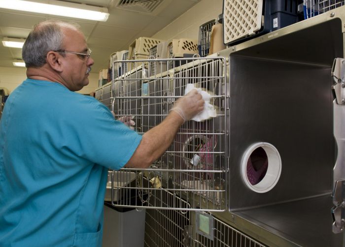 a man cleaning a kennel