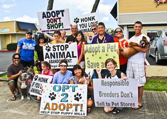 a group of people holding adoption signs 