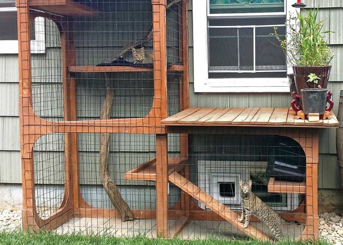 Outdoor “catios” provide cats with the stimulation of the great outdoors, while keeping birds and other wildlife out of reach