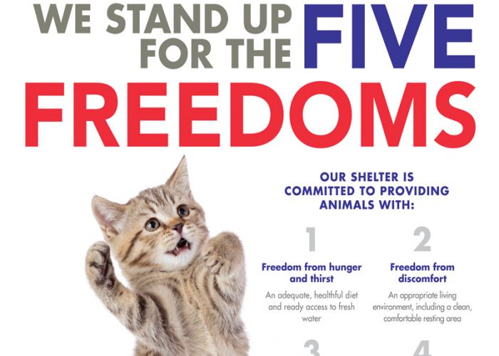 We stand up for the five freedoms