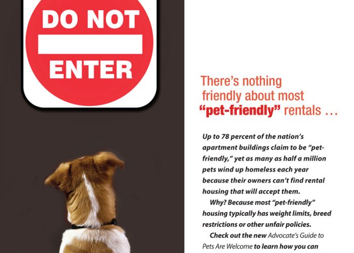 There's nothing friendly about most "pet-friendly" rentals ...