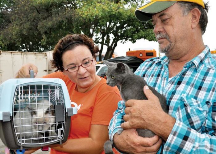 a woman holds up a crate containing a cat next to a man holding another cat