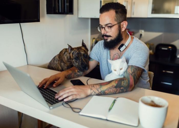 A man working on his laptop with a cat on his lap and dog resting on his arm